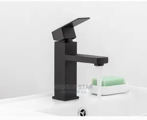 Executive Black Basin Faucet