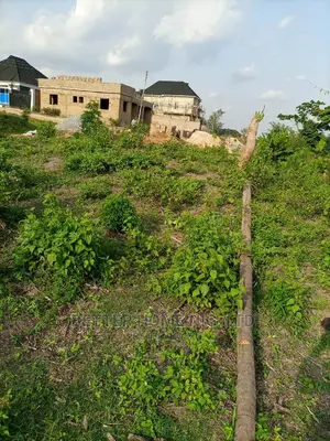 Land for Sale With Register Survey With Agreement