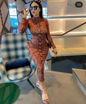 Bodycon Snake Print Dress, Two Piece Sweat Suit
