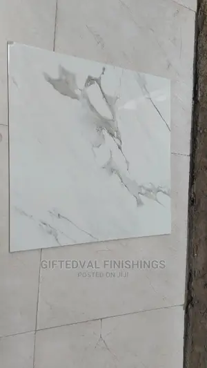 60x60 and 30x60 Floor Tiles
