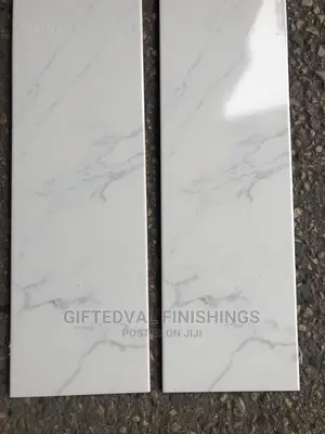 20X60 Spanish Wall Tiles.