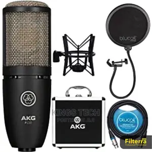 Akg P220 Large Diaphragm Studio Microphone