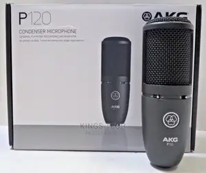 AKGP120 Large Diaphragm Microphone