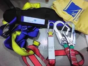 Body Harness
