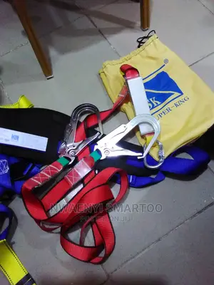 Body Harness Double Hook