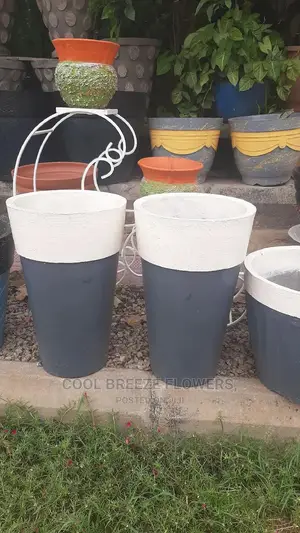 Quality for Outdoor Plants