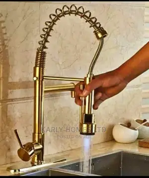 Gold Spring Mixer With Tap