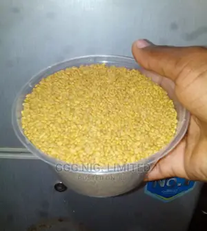 Fenugreek Seeds