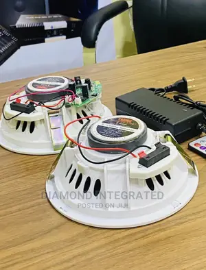 2 in 1 Bluetooth Ceiling Speaker Promic Product