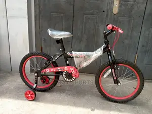 Silverfox Children Bicycle