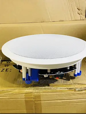 Promic 30 Watts With Crossover Ceiling Speaker