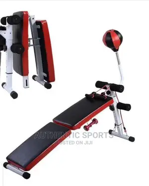 Foldable Sit Up Bench With Sping Ball