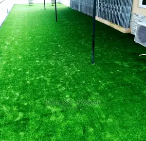 Carpet Grass in Square Meters