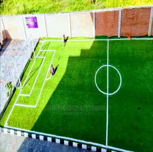 Carpet Grass for Field and Garden