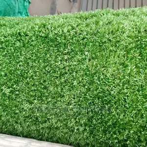 Carpet Grass Per Square Meter