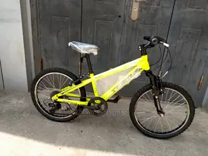 Team MTB Children Bicycle