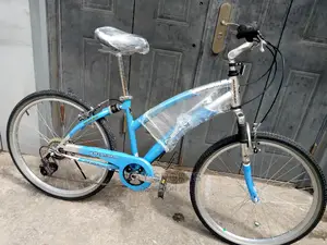 Next Ladies Sport Bicycle