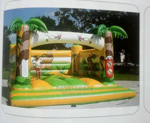 Party Sized Bouncer