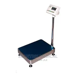 Digital Quality Professional Analog Scale