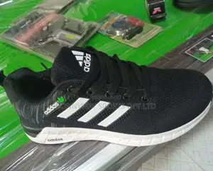 Size 39 Sports Canvas
