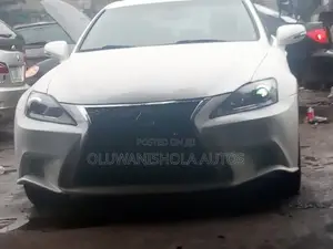 LEXUS Specialist With a Scanning Machine in LAGOS