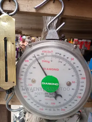 Hanging Scale 100kg