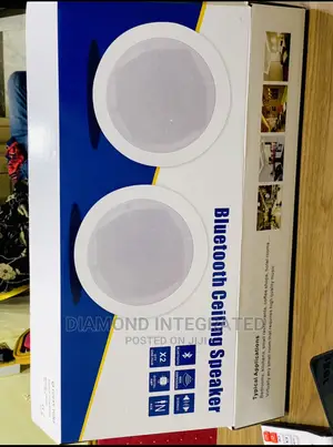 Lucky Tone 2 in 1 Bluetooth Ceiling Speaker