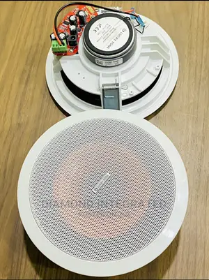 Lucky Tone 2 in 1 Bluetooth Ceiling Speaker