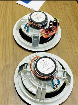 200 Watts 2 in 1 Lucky Tone Bluetooth Ceiling Speaker