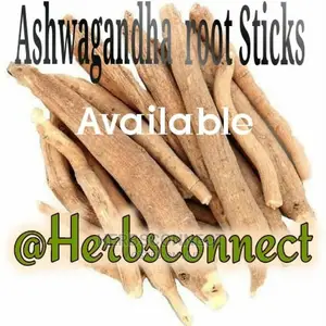 Organic Ashwagandha Root Powder or Stick