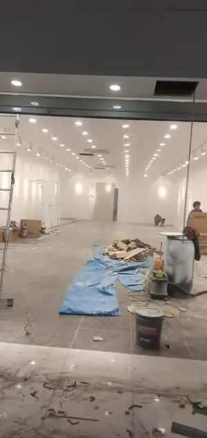 Ceiling/Wall Screeding /Window Artwork