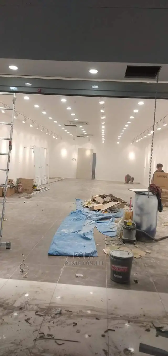 Ceiling/Wall Screeding /Window Artwork