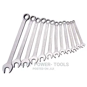 Elora 12 Piece Long Metric Combination Spanner Set