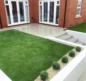 Carpet Grass