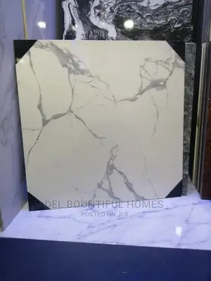 60x60 (Goodwill ) Floor Tiles