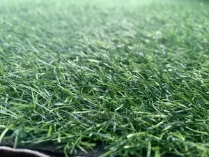 Grass Carpet