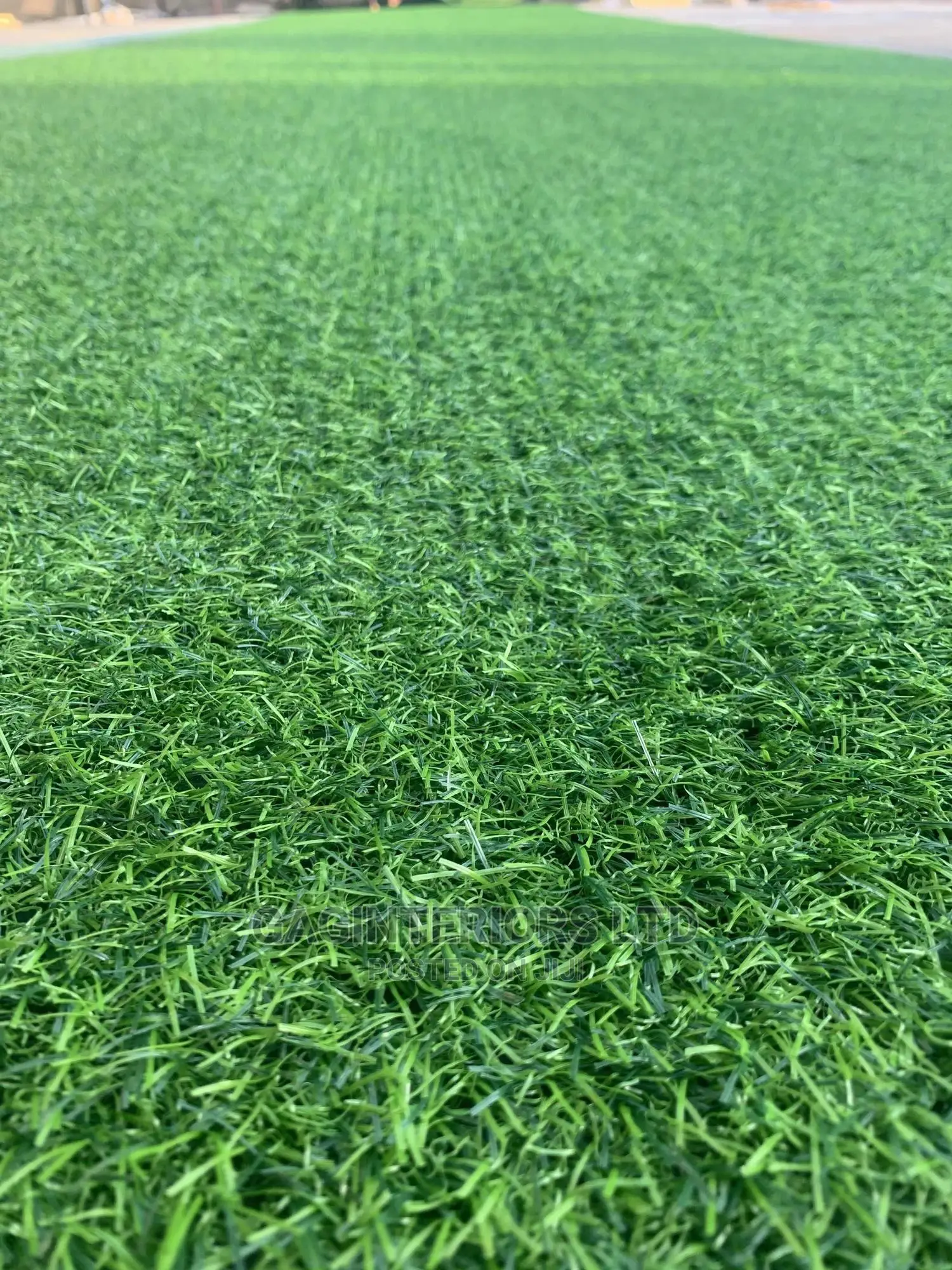 Grass Carpet
