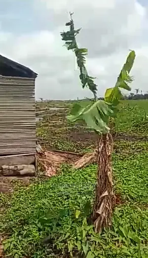 Affordable Land for Sale at Ije-Ododo, Ijegun.