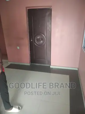 Professional Cleaning Services