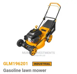 Ingco Gasoline Lawn Mower 4.8hp With Side Discharge