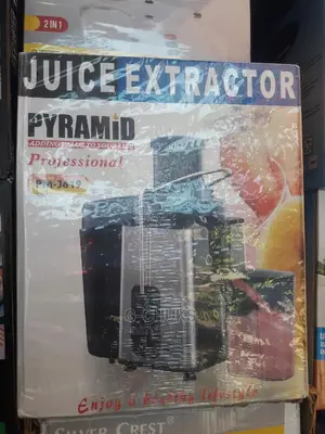 Pyramid Juicer