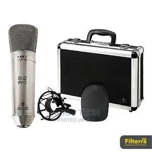 Behringer B2pro Studio Microphone