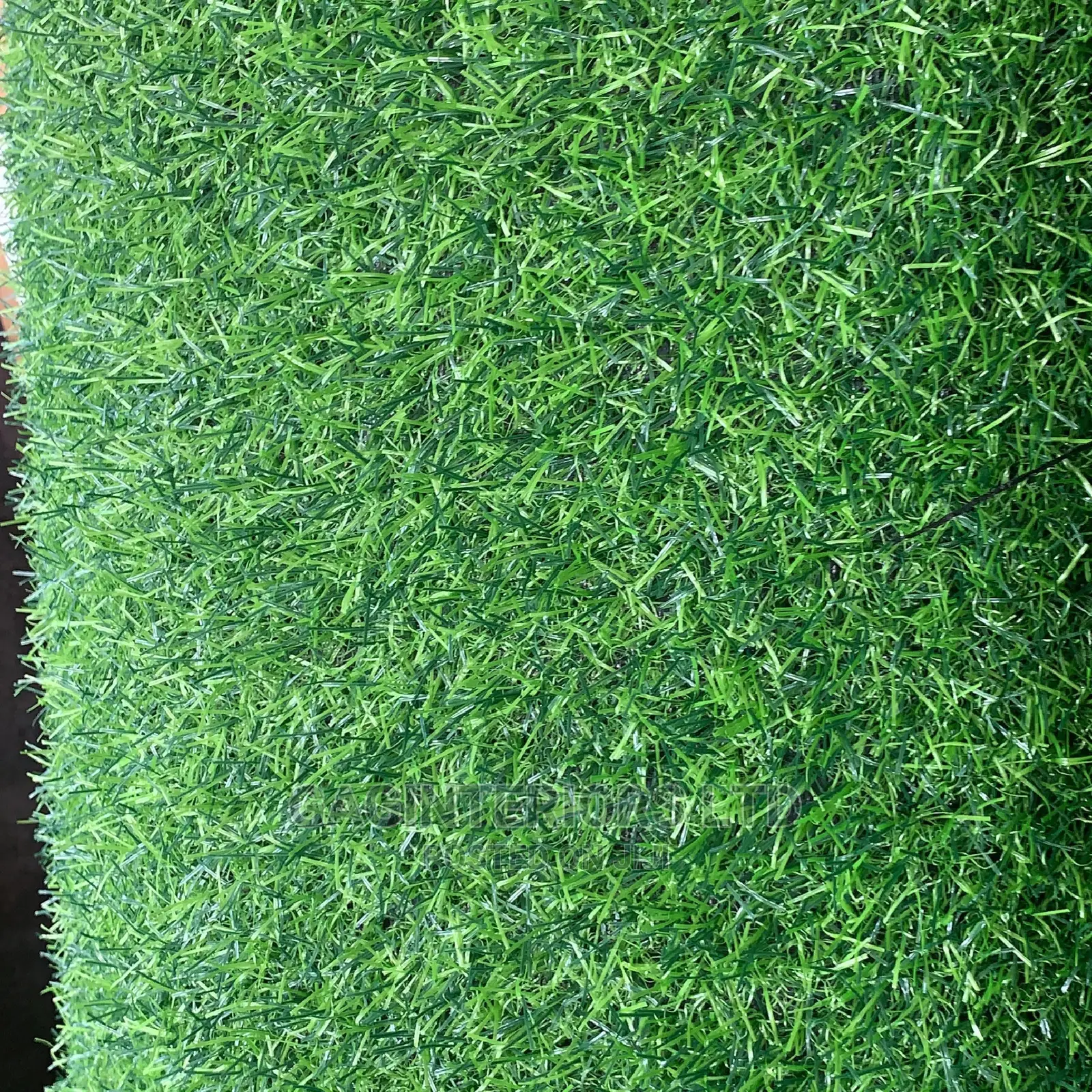 Best Synthetic Grass