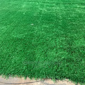Best Synthetic Grass