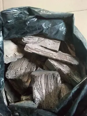 We Can Buy Your Old Catalyst Once Is Genuine