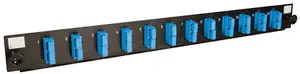 12port Fiber Patch Panel Sc
