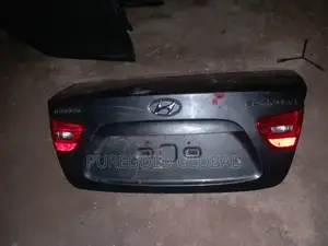 Elantra 07 Trunk (Boot)