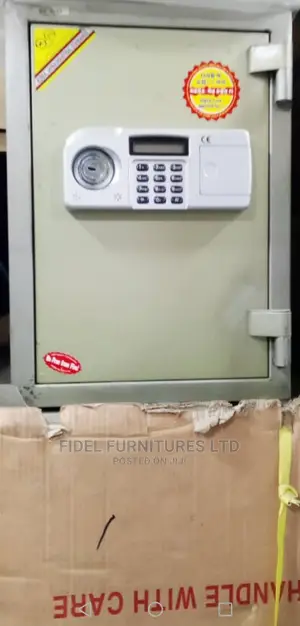 Original Biometric Safe