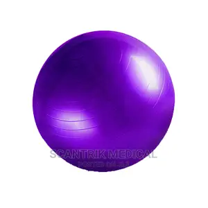 Fitness Exercise Ball
