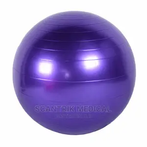 Stability Training Fitness Exercise Ball